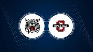 BRHS vs. Opelika High School girl's volleyball live stream, TV – Thursday, August 29